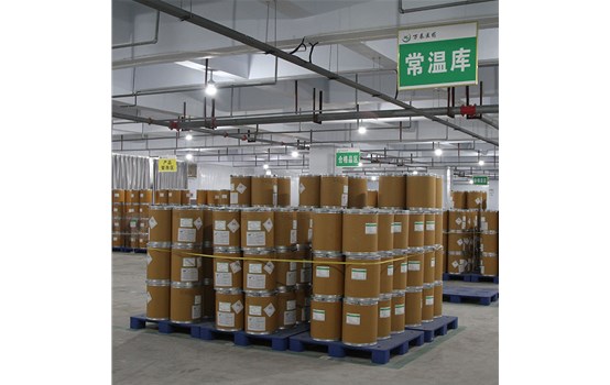 公司信息